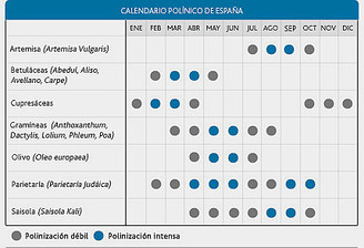 Calendario Policlínico de España